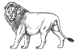 Gif animé lion blanc